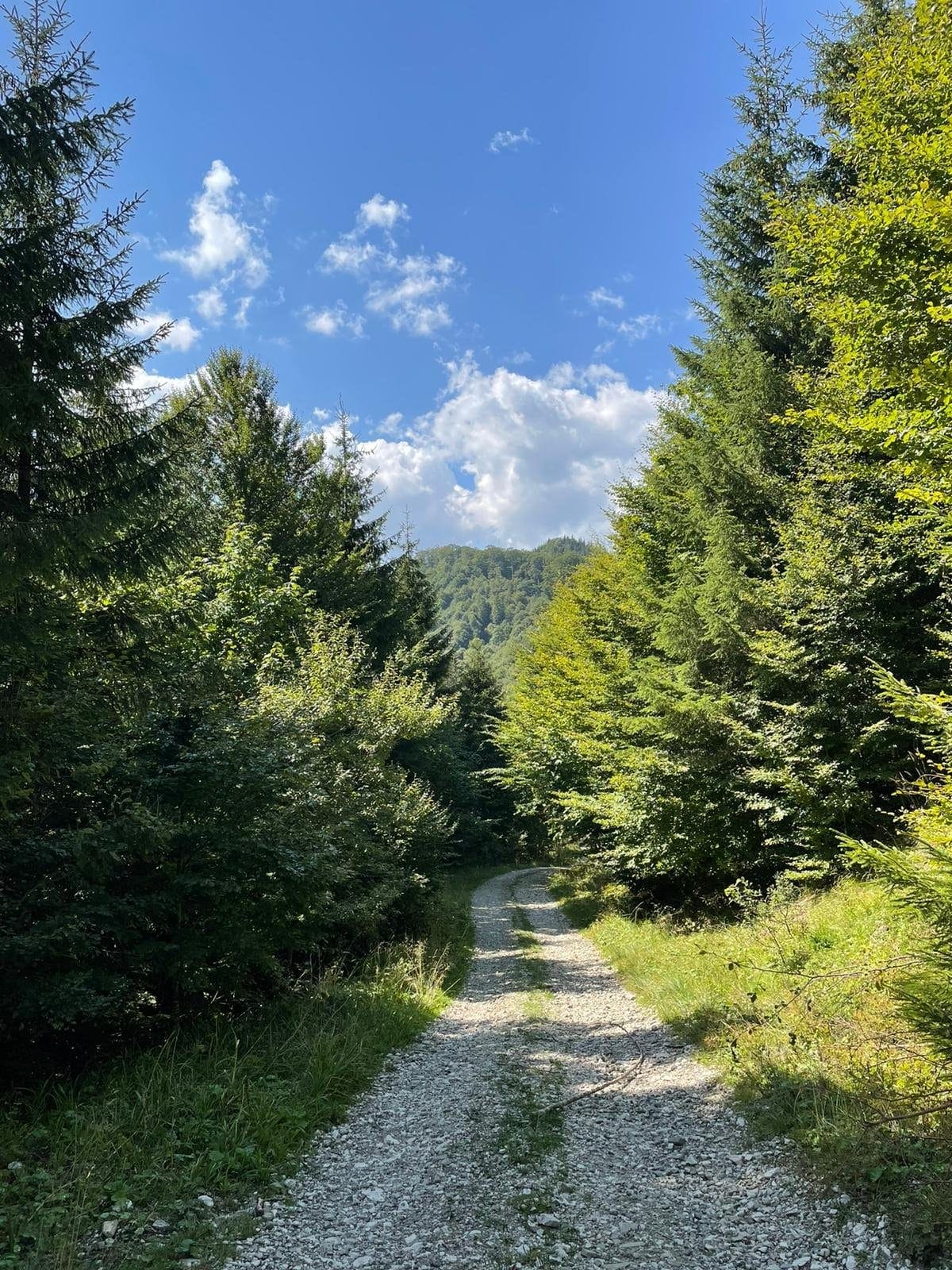 Timp liber în Valea Doftanei
